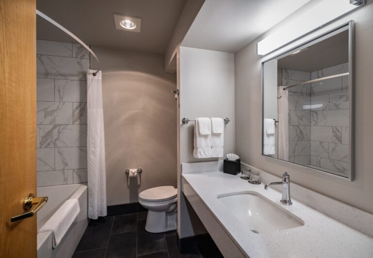 The bathroom of a Single King room with a bathtub and shower, vanity and large mirror